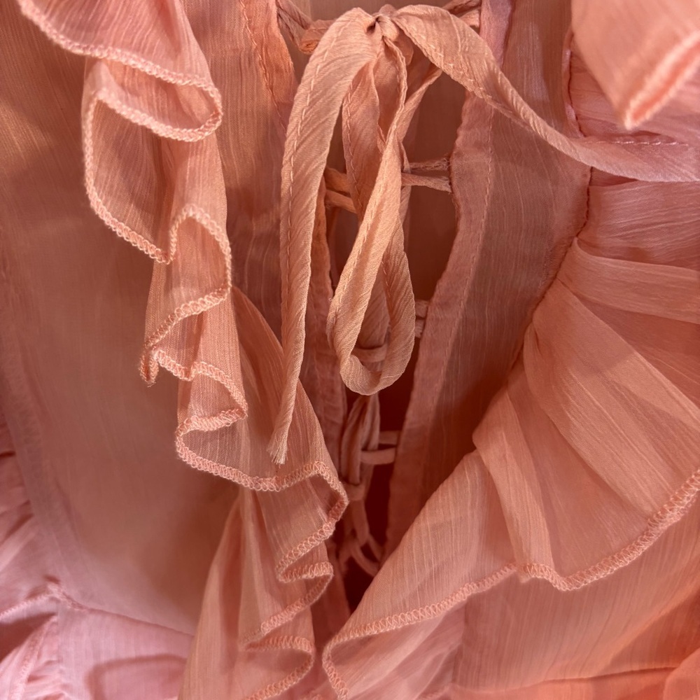 L'ATISTE Sz S Blush Pink Sheer Dress with Ruffles And Balloon Sleeves Lined Ties - Picture 3 of 12